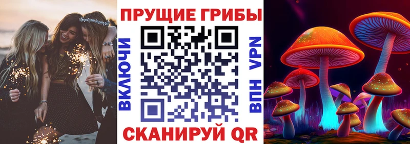 Псилоцибиновые грибы MAGIC MUSHROOMS  KRAKEN как войти  Невель 